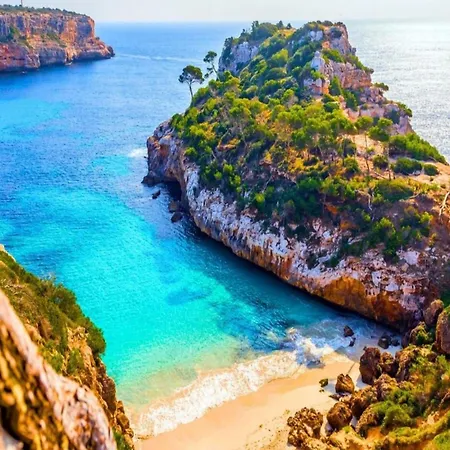 Cerca Del Mar Con Azotea Compartida Appartamento *